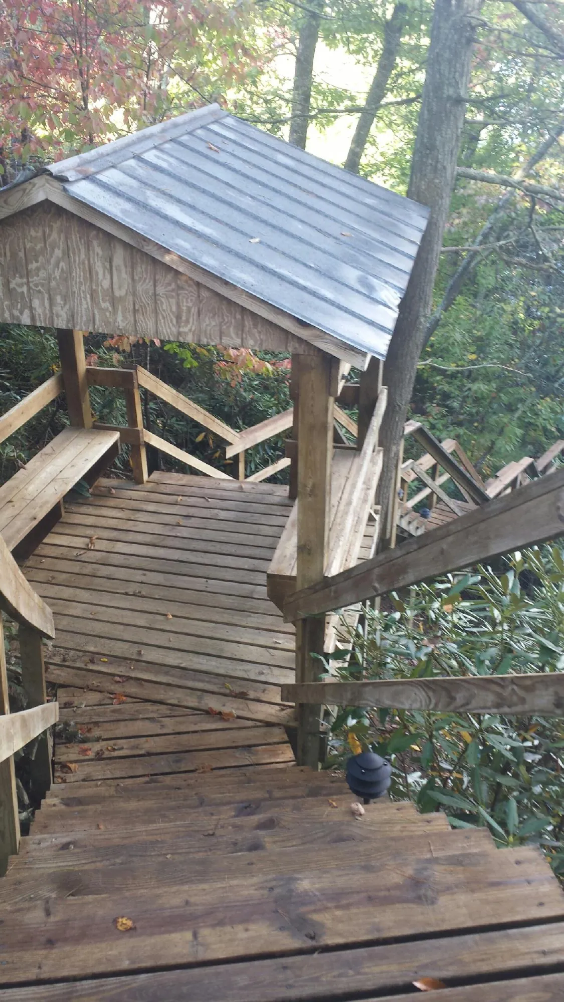Metal roofed shelter over wooden steps on a wooded walkway — Skylight Repair & Installation work by our crew in Pricedale