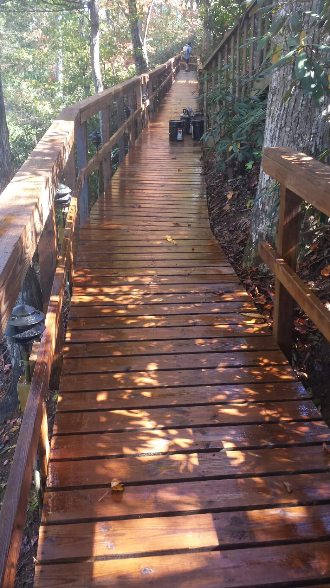 Freshly stained wood walkway winding through the woods in Pricedale